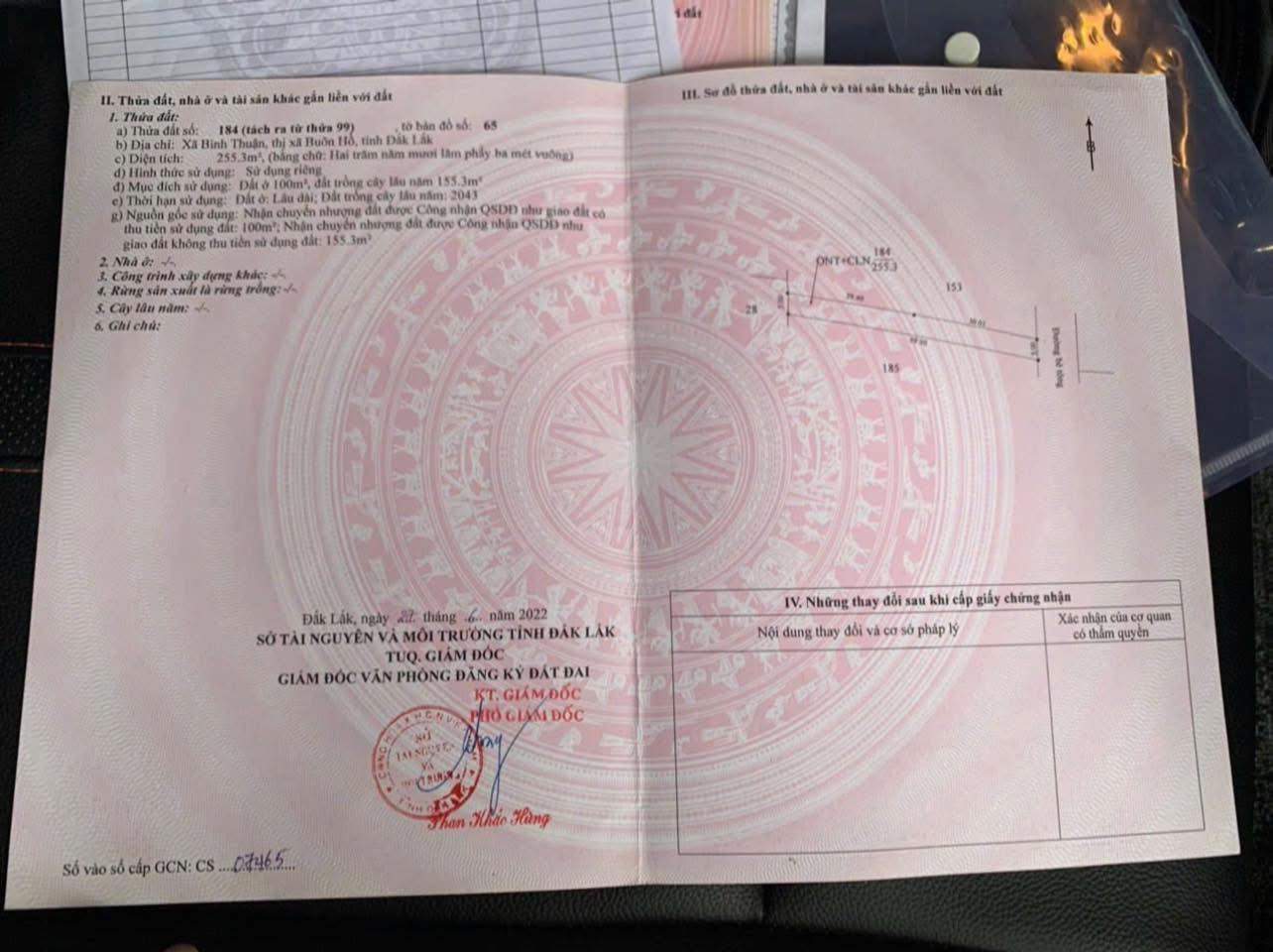 Lô chân dài Bình Thuận_Phường Cư Bao_Đăk Lăk
